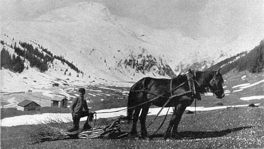 Foto Holztransport mit pferdegezogenem Schlitten