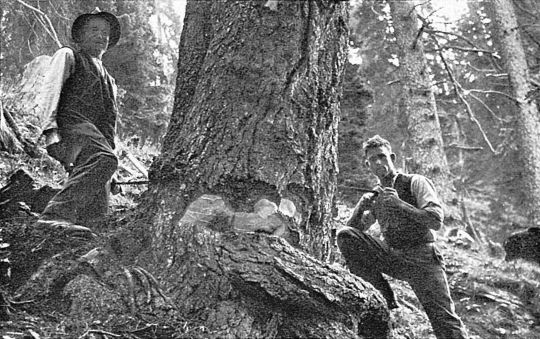 Foto Zwei Arbeiter beim Fällen