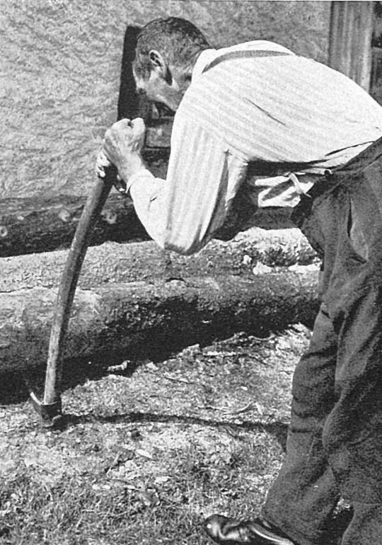 Foto Person beim Wenden eine Baumstamms mit einer Sapine