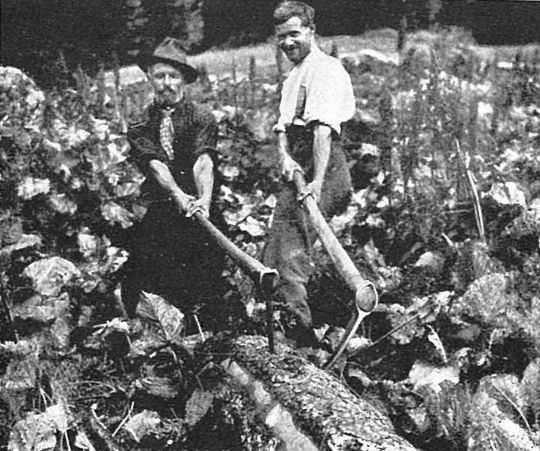 Foto Zwei Personen beim Schleifen eines Baumstammes