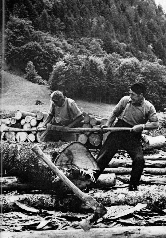 Foto Zwei Arbeiter beim Schleifen eines Baumstammes.