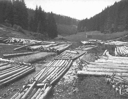 Foto Flösserei - Zusammenfügen der einzelnen Stämme zu einem Floss