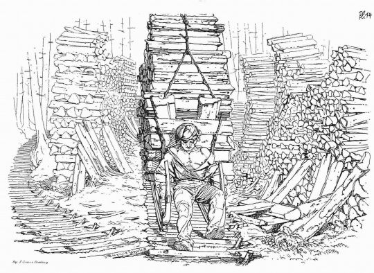 Foto Scheiterholztransport mit Handschlitten im Sommer