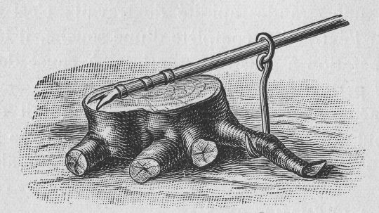 Foto Stockrodung  mit Hebbaum und Ziehhaken