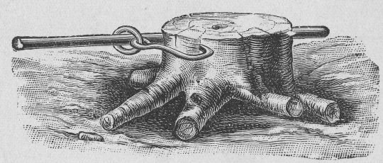 Foto Stockrodung  mit Hebbaum und Ziehhaken