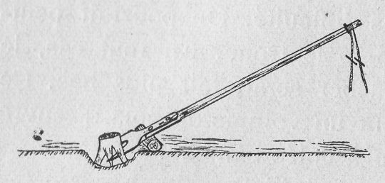 Foto Stockrodung  mit "Levier interfixe"