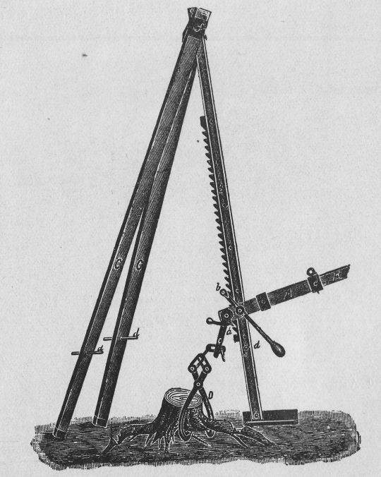 Foto Stockrodung mit Dreibein und befestigter Zahnstange