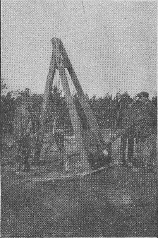 Foto Stockrodung mit Rodebock Modell "Smeets"