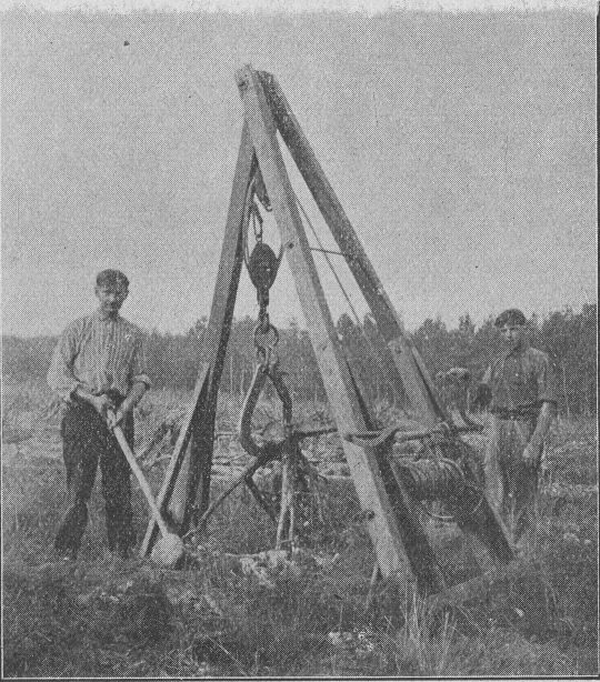 Foto Stockrodung mit Rodebock Modell "Dehez"