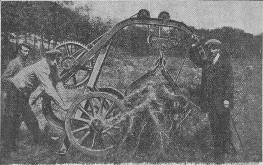 Foto Stockrodung mit Rodebock Modell "Malengreau"