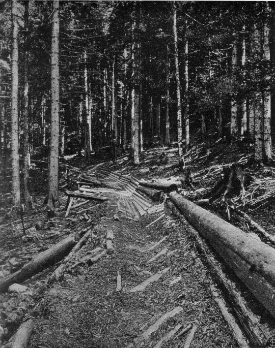 Foto Ausdielungen und gekreuzte Rippen am Ascher-Riesweg.