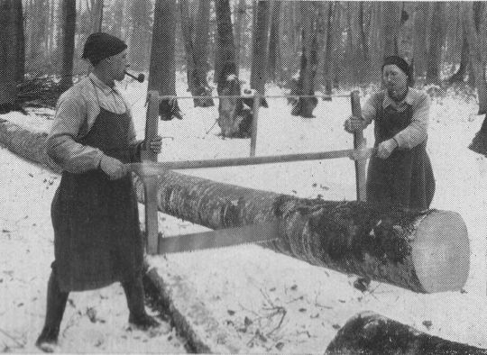 Foto Grosse Gestellsäge in Gebrauch