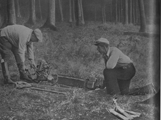 Foto Die Motorsäge wird vom Motorsägenführer bereitgemacht