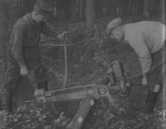 Foto Einschneiden von Schichtholz mit einer Zweimann-Motorsäge
