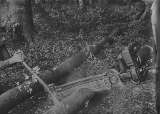 Foto Einschneiden von Schichtholz mit einer Zweimann-Motorsäge