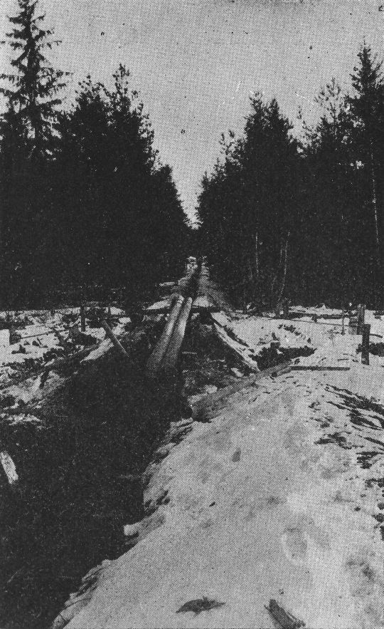 Foto Wolfkonstruktion bei der Graf Goess'schen Herrschaft