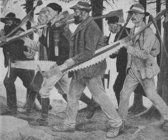 Foto "Schwarzwälder Waldarbeiter"