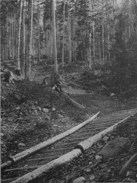 Foto "Bärengraben-Riesweg. Einkehr"