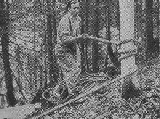 Foto "Abseilen von Stammholz mit Hanfseil, 100 m lang, 3 cm Durchmesser"