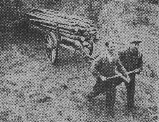 Foto "Zweirädriger Rückekarren zum Rücken von Stangenholz"