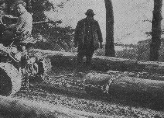 Foto Stammholzrücken mit Raupenschlepper