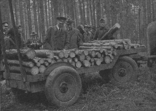 Foto "Einspännerwagen zum Rücken von Faserholz nach Hofrichter, Muskau"