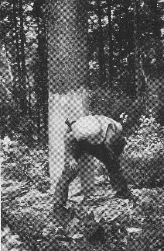 Foto "Überprüfung der Kipplinie durch direkte Beobachtung"