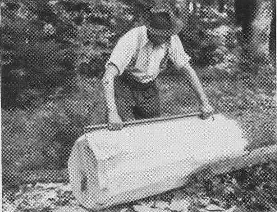 Foto "Ansetzen des Ablängstabes am Ende des Nutzholzstammes"