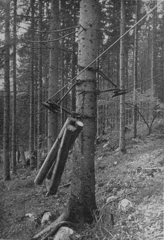 Foto "Durchforstungsseilbahn System Reisner. Maschinenfabrik in Wels, Oberösterreich"