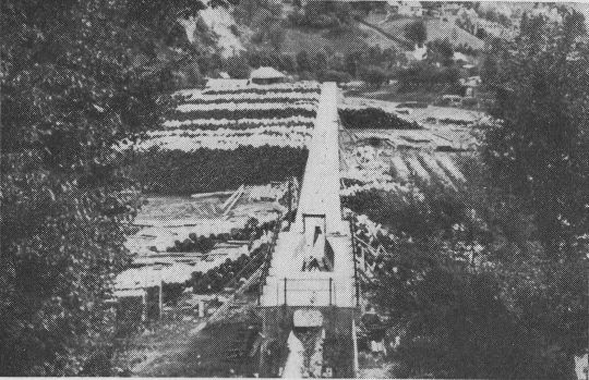 Foto "Ende der Wasserriese in Neuberg, Steiermark, mit Blochholztransporteur"