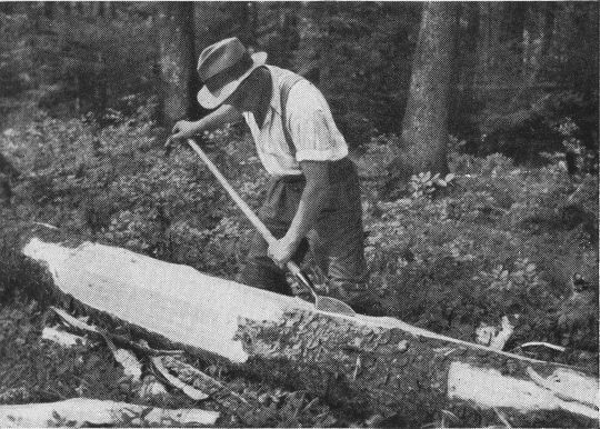 Foto "Arbeitsstellung und Handhabung des Schäleisens beim Entrinden"