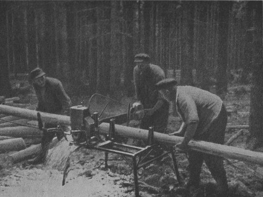 Foto "Einschneiden von Faser-, Gruben- oder Brennholz auf Einschneidebock"