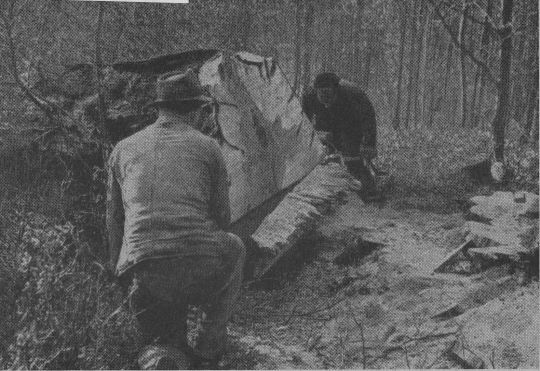 Foto "Abschneiden des Waldbartes"