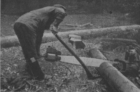 Foto "Behebung einer Klemmung bei schwächern Hölzern mittels Sapine"