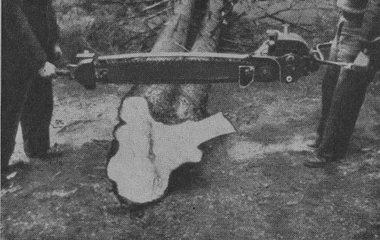 Foto "Falsches Ansetzen der Motorkettensäge am Stamm"