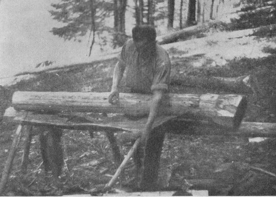 Foto "Die Rinde von behandeltem Fichtenfaserholz löst sich leicht..."