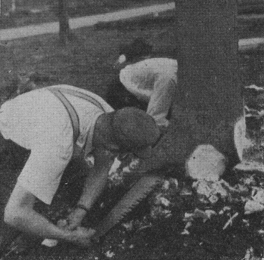 Foto "Fällschnitt vorwärts"