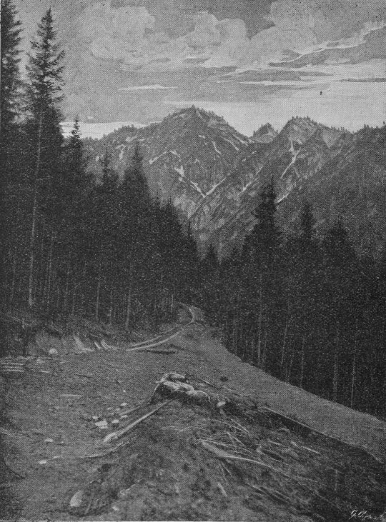 Foto "Eibel-Riesweg. Verleerplatz und Abfuhrweg"