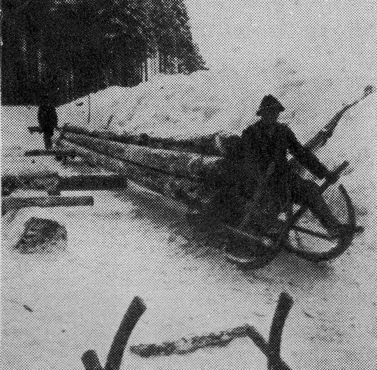 Foto "Wildalpener Doppelschlitten"