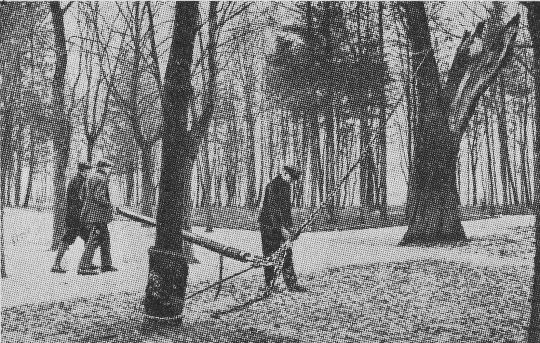 Foto "Verbesserter Baumrodeapparat "Ökonom""