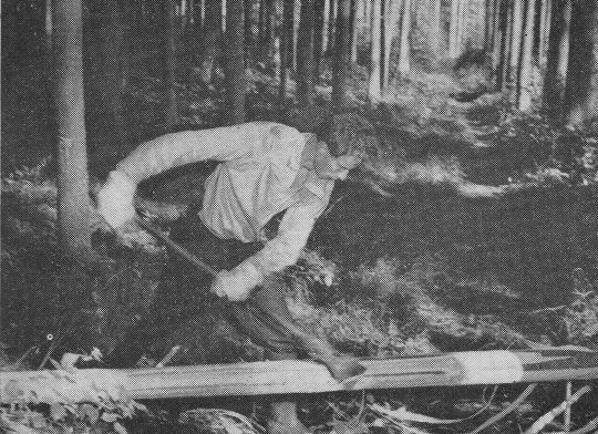 Foto "Beispiel für das Ausnutzen der Körperlänge beim Entrinden"