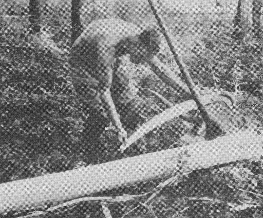 Foto "Aufmessen mit Hilfe der verlängerten Einmannzugsäge..."