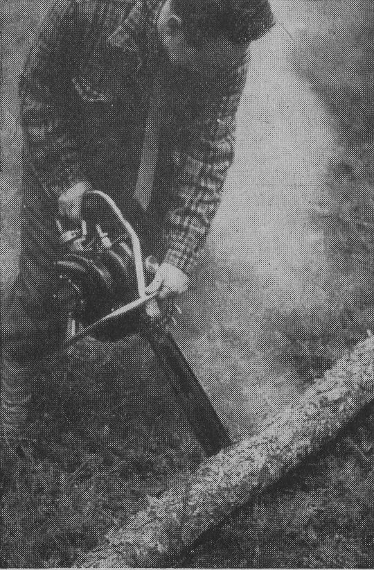 Foto "Einschneiden im Walde mit einer modernen Einmann-Benzinmotorkettensäge"