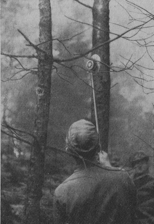 Foto "Aufastungskreissäge mit Druckluftturbine"