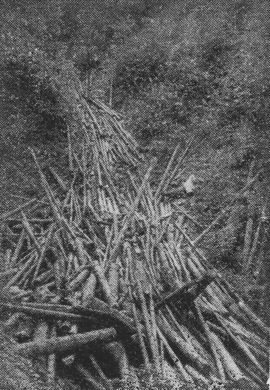 Foto "Ungeordnete, mit Steinen vermengte Holzhaufen..."