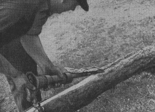 Foto "Presslufthammer mit Spezialmeissel zum Schnitzen von Masten"