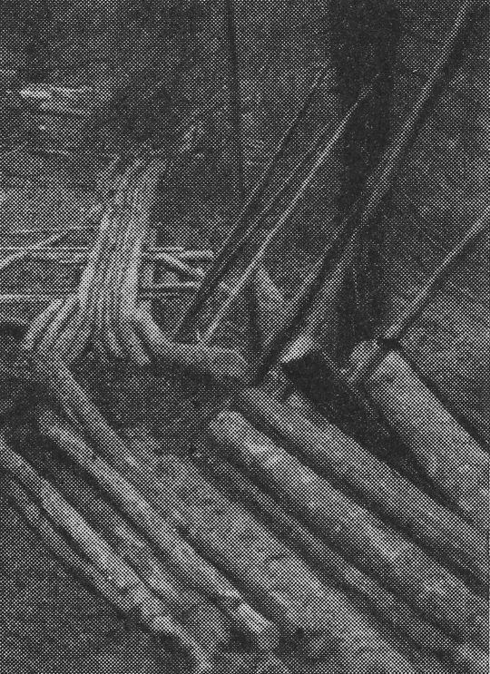 Foto ""Loite" in Oberbayern"