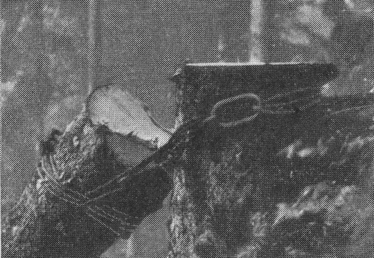 Foto "Anhängen eines im Steilhang zur Fällung gelangenden Baumes an seinem Stock..."