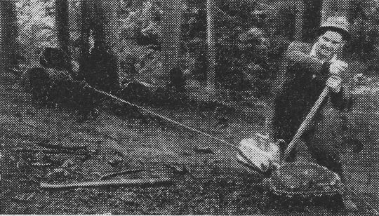 Foto "Aufseilen mit "Greifzug""