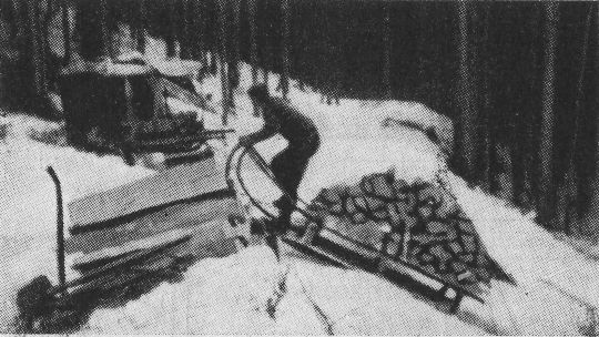 Foto "Aufseilen von Schichtholz mittels Schlitten und Rückewinde"